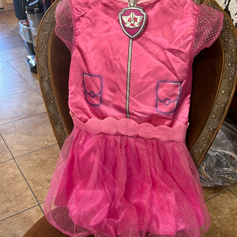 Sky paw patrol costume